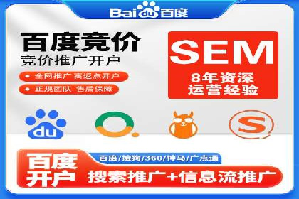 案例分析：竞价推广实战中的困境与突破